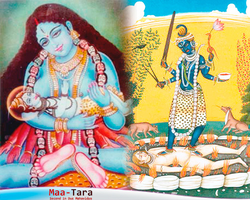 maa tara, उग्र तारा